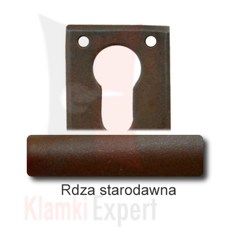 Rdza starodawna