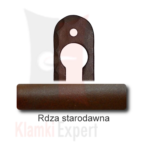 Rdza starodawna