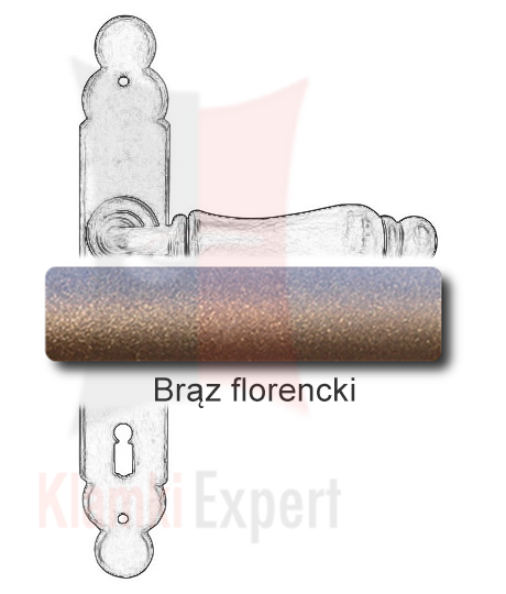 Brąz florencki