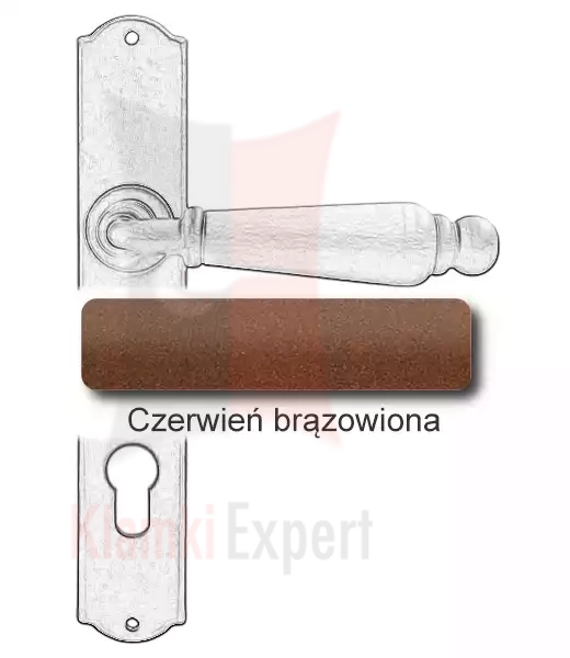 14 COR.webp