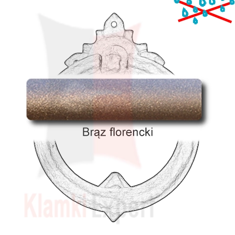 15Brąz florencki.png