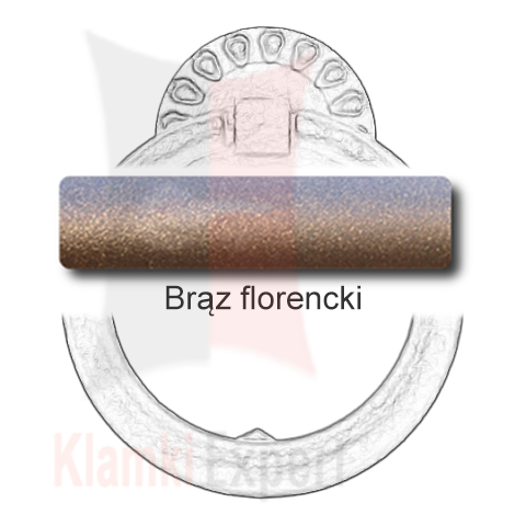 15Brąz florencki.png