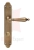 PM-450X650.webp