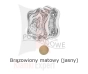 Gałka stała LIBERTY  - brązowiony matowy jasny