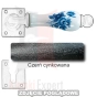 2Czerń cynkowana.webp