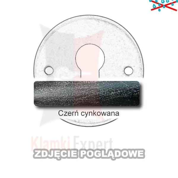 2CCY.webp