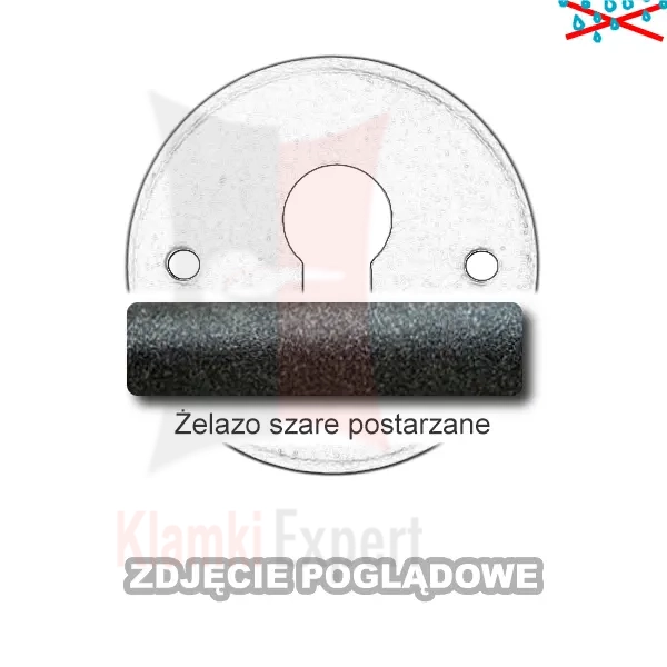 3ZSP.webp