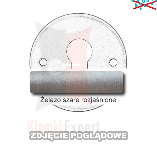4ZSR.webp