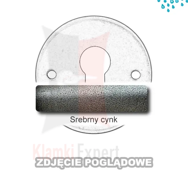 5SRC.webp