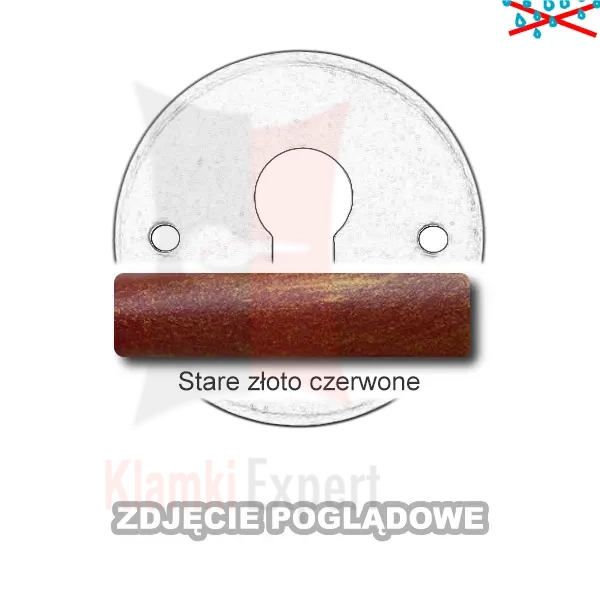 9SZC.webp