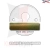 11SZZ.webp