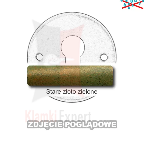 11SZZ.webp
