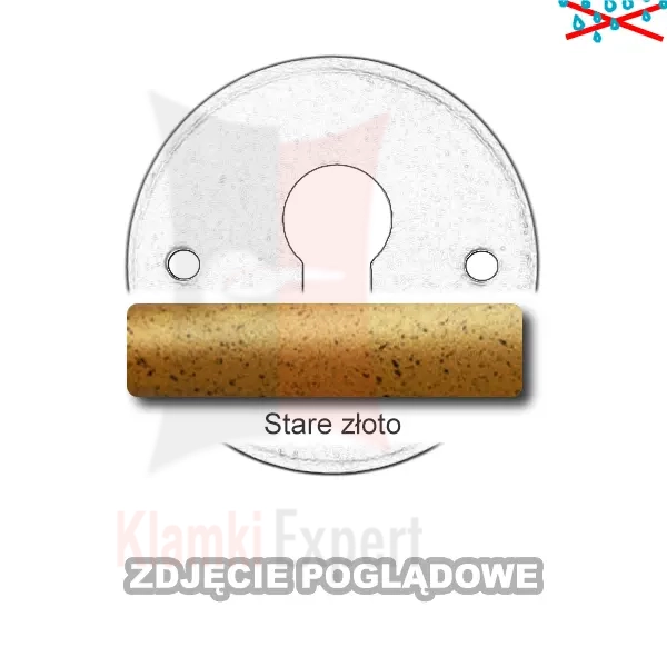 12STZ.webp