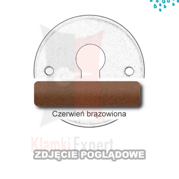 14COR.webp