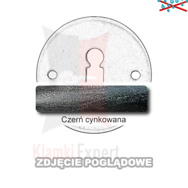 2CCY.webp