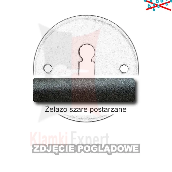 3ZSP.webp