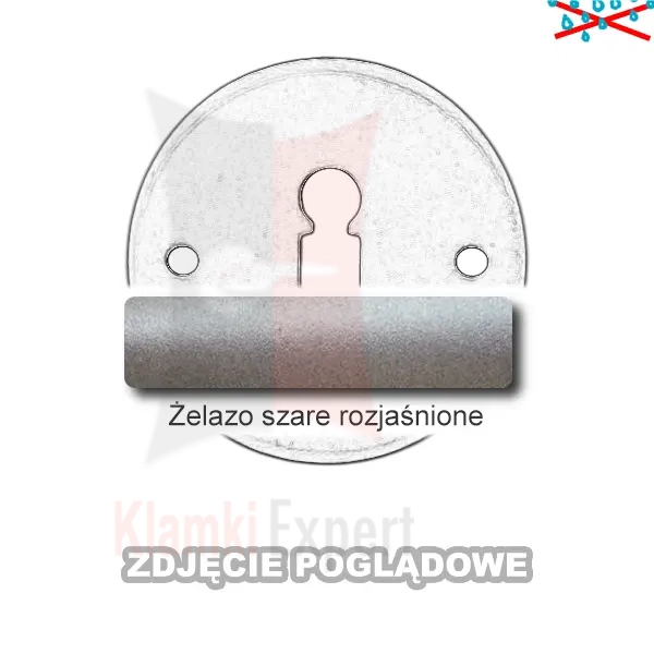 4ZSR.webp
