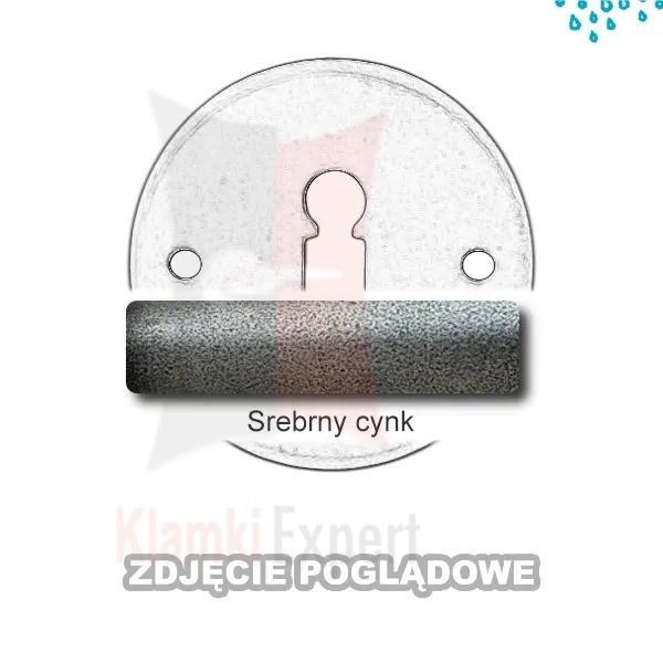 5SRC.webp