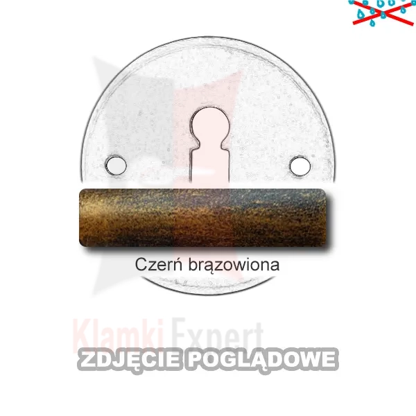 6CZB.webp