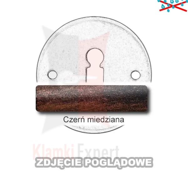 7CZM.webp