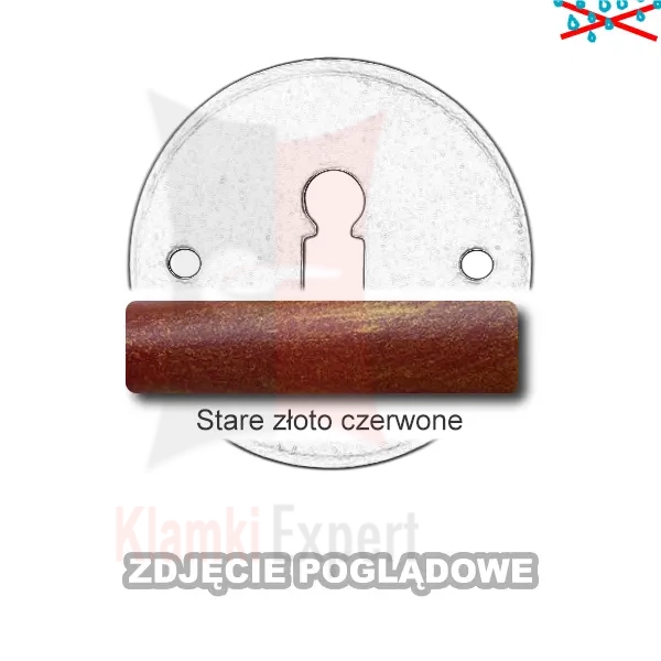 9SZC.webp