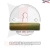 11SZZ.webp