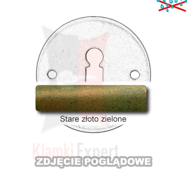 11SZZ.webp