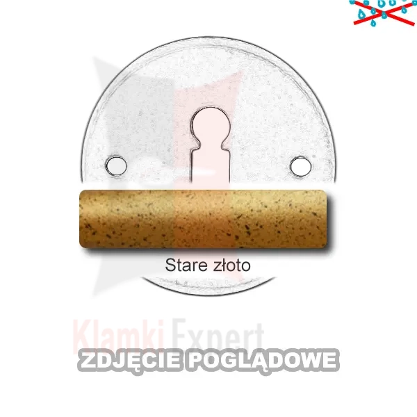 12STZ.webp