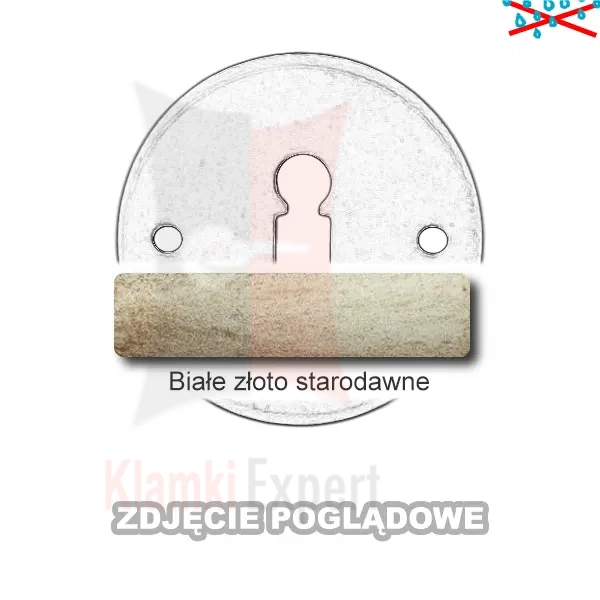 13BZS.webp