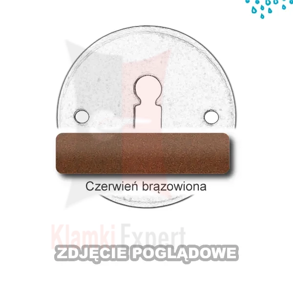 14COR.webp