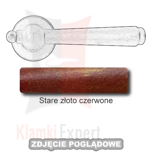 9SZC.webp