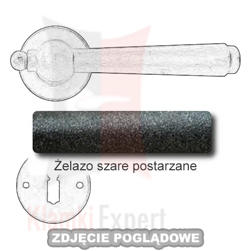 3ZSP.webp