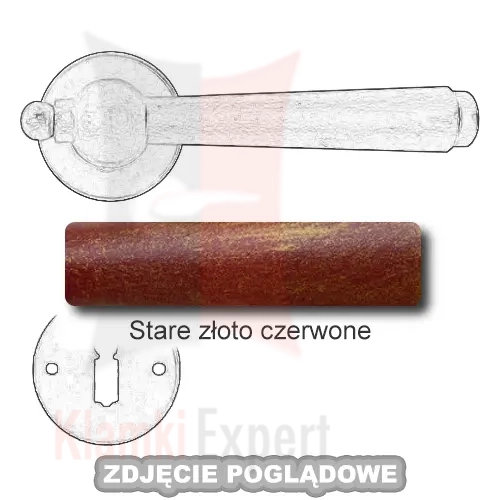 9SZC.webp