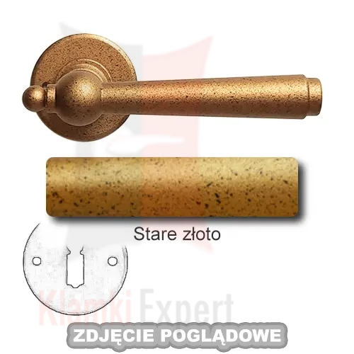 12STZ.webp