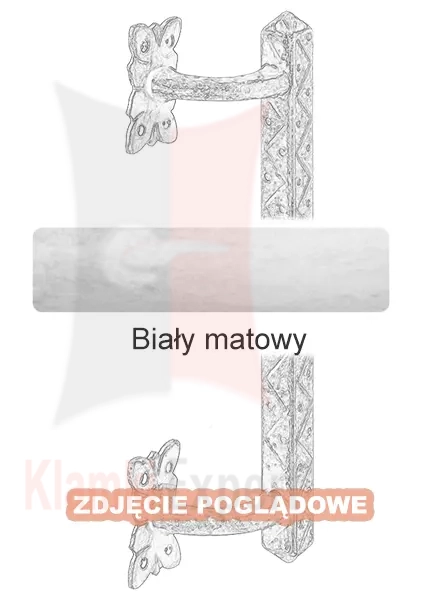 10Biały matowy.webp