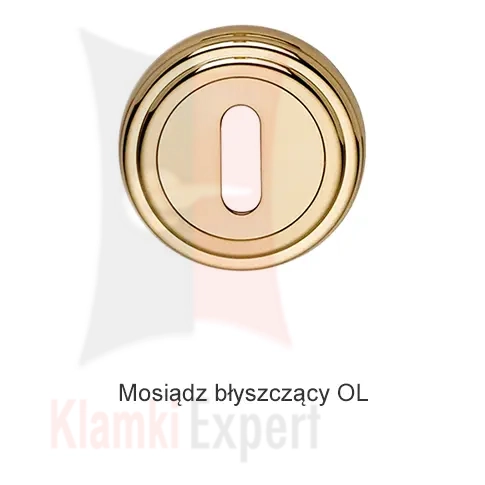 OL-KL011.webp