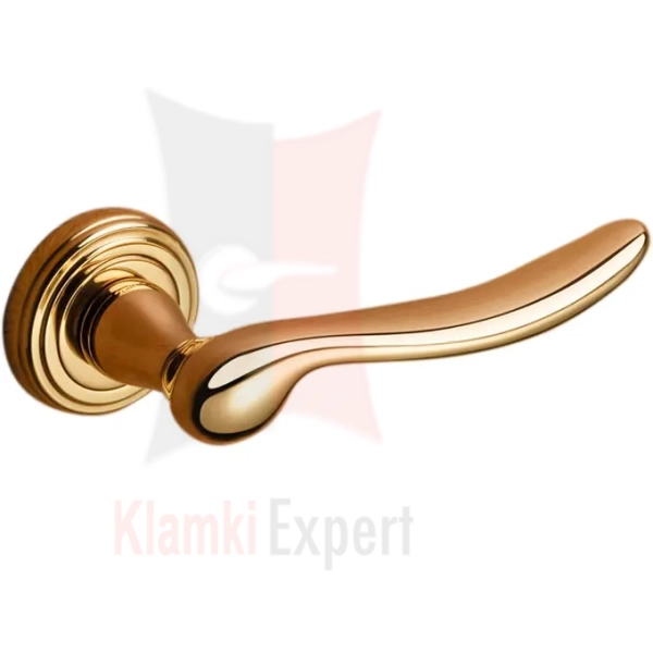 BDR-680x680 kopia.webp