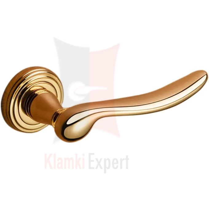 BDR-680x680 kopia.webp