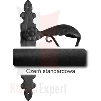 1Czerń standardowa.webp