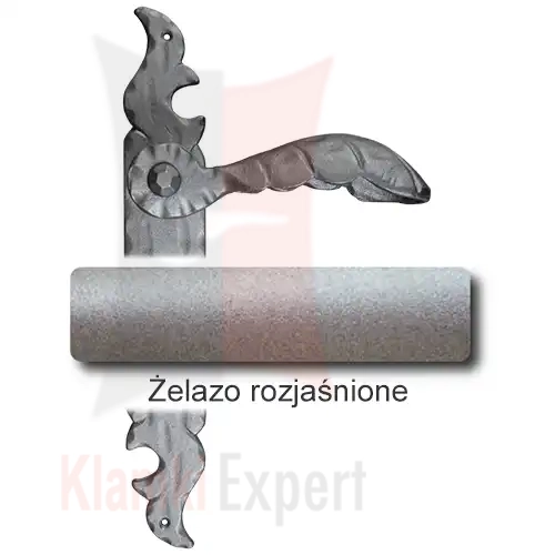 5Żelazo rozjaśnione.webp