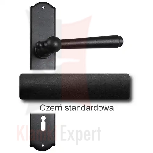 1Czerń standardowa.webp
