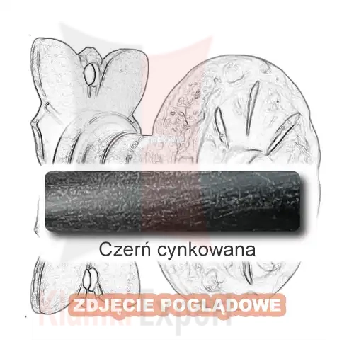 3 Czerń cynkowana.webp