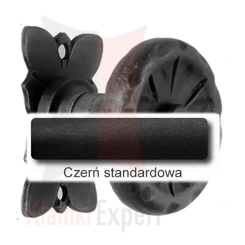 1 Czerń standardowa.webp