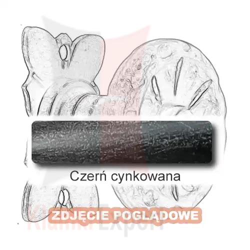 3 Czerń cynkowana.webp