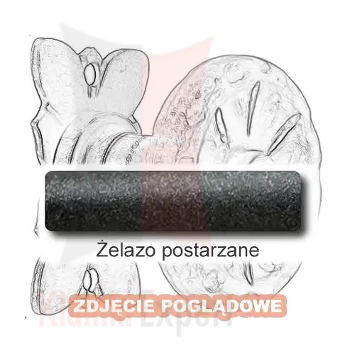 4 Żelazo postarzane.webp