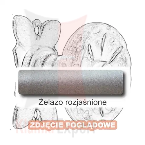 5 Żelazo rozjaśnione.webp