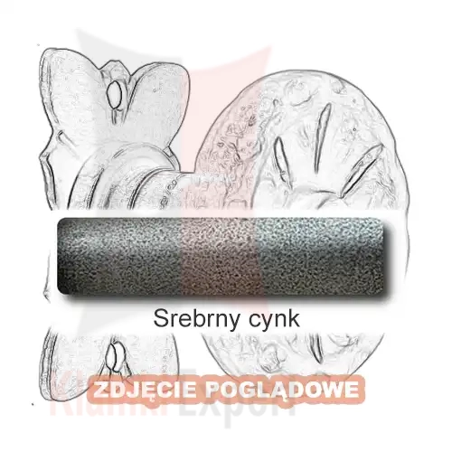 6 Srebrny cynk.webp