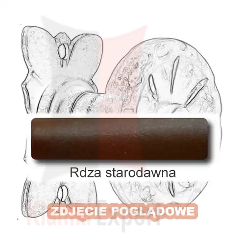 9 Rdza starodawna.webp