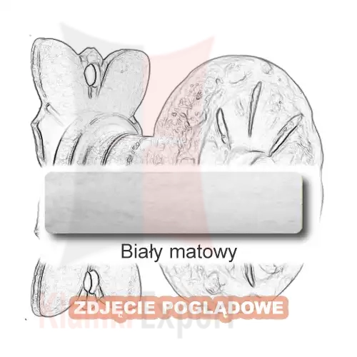 10 Biały matowy.webp