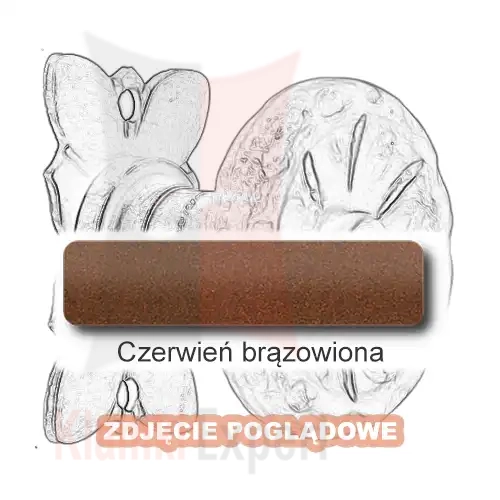 11 Czerwień brązowiona.webp